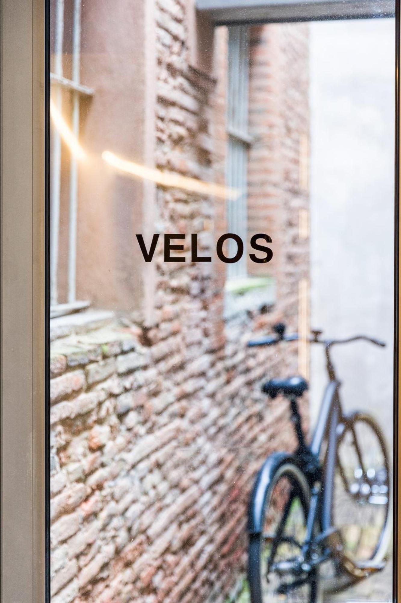 Ovyo Toulouse